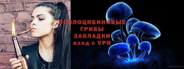 хмурый Алзамай