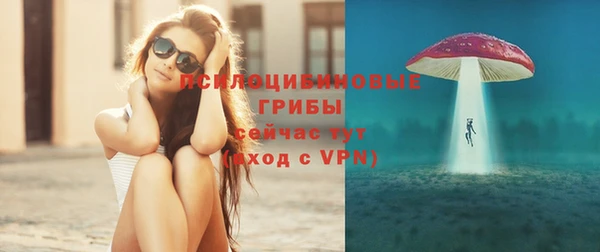 спайс Нея