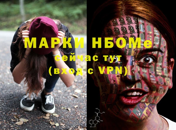 хмурый Алзамай