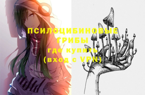 хмурый Алзамай