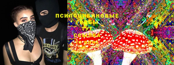 хмурый Алзамай