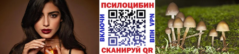 Галлюциногенные грибы Psilocybine cubensis  наркотики  Ишим 